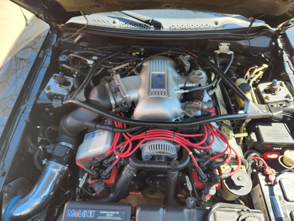 1996 Ford SN95 Mustang Cobra - Image 11 of 13