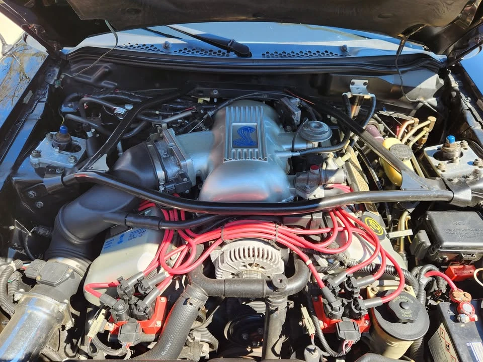 1996 Ford SN95 Mustang Cobra - Image 8 of 13