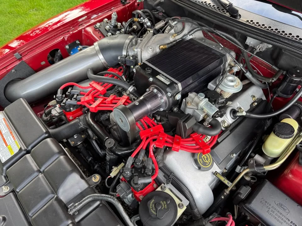 1996 Ford SN95 Mustang Cobra - Image 21 of 21