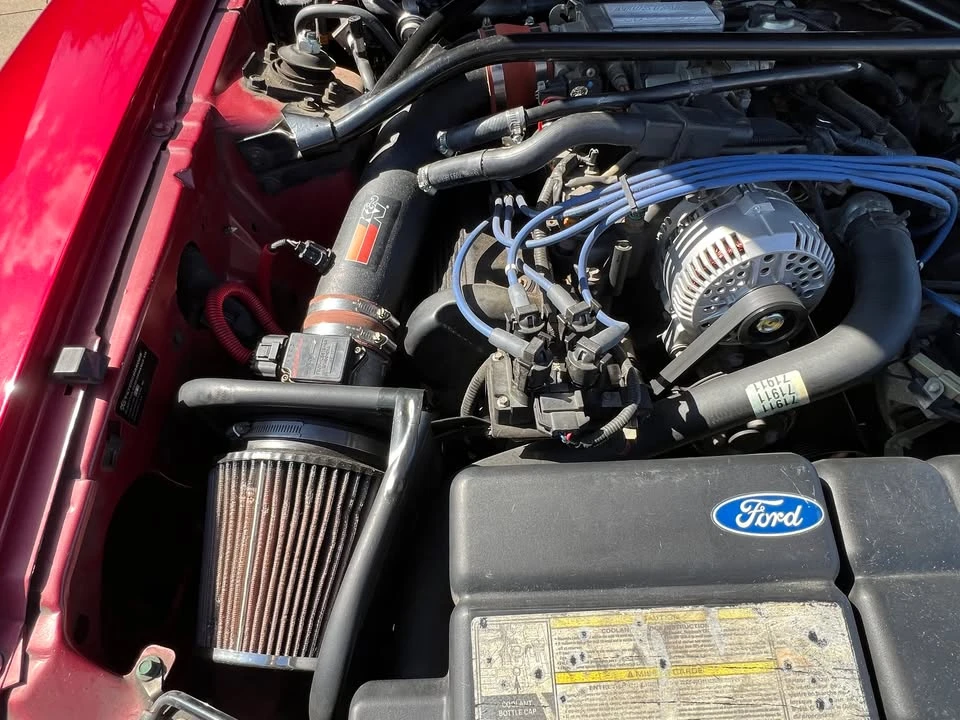 1996 Ford SN95 Mustang - Image 15 of 20