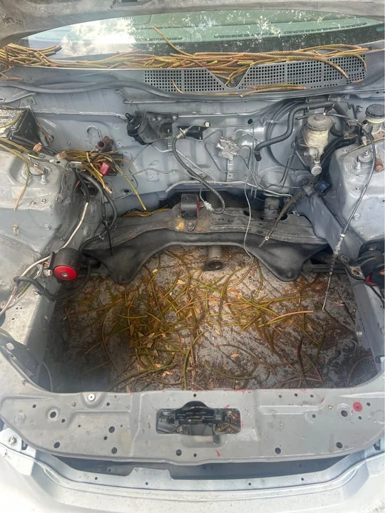 1996 Honda EK Civic - Image 14 of 15