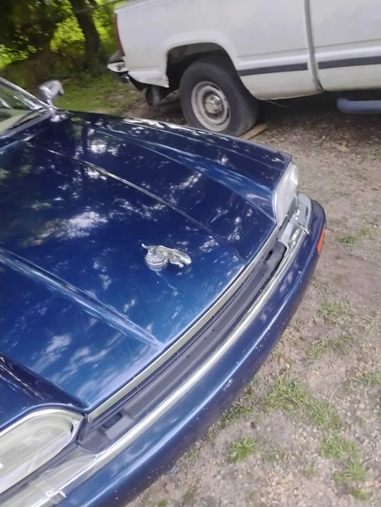 1996 Jaguar XJS Convertible - Image 12 of 15
