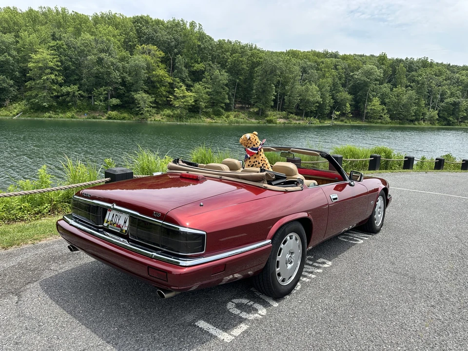1996 Jaguar XJS Convertible - Image 22 of 31