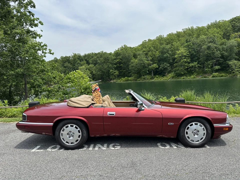 1996 Jaguar XJS Convertible - Image 19 of 31