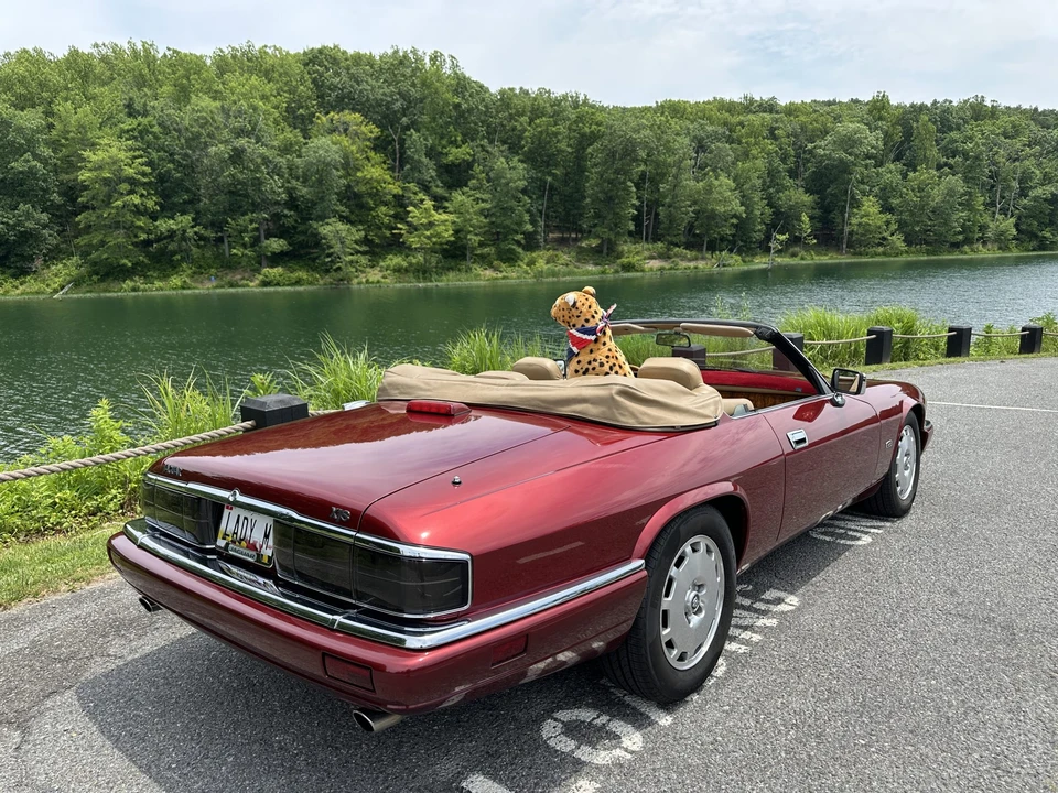 1996 Jaguar XJS Convertible - Image 23 of 31
