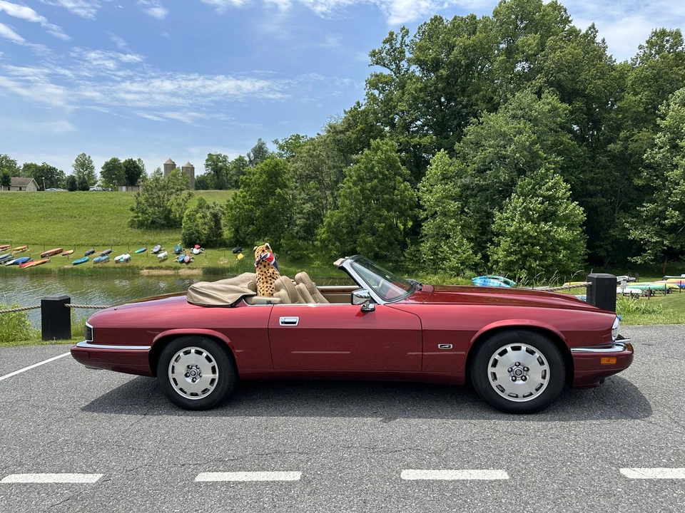 1996 Jaguar XJS Convertible - Image 18 of 31