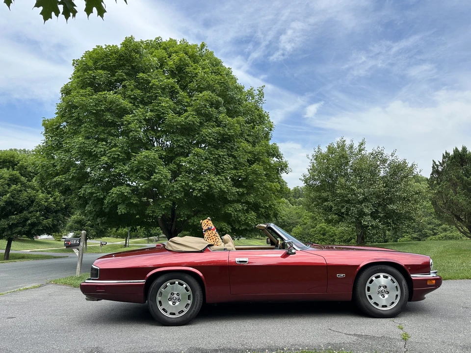 1996 Jaguar XJS Convertible - Image 17 of 31