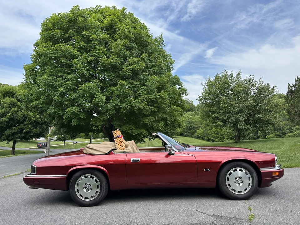 1996 Jaguar XJS Convertible - Image 16 of 31