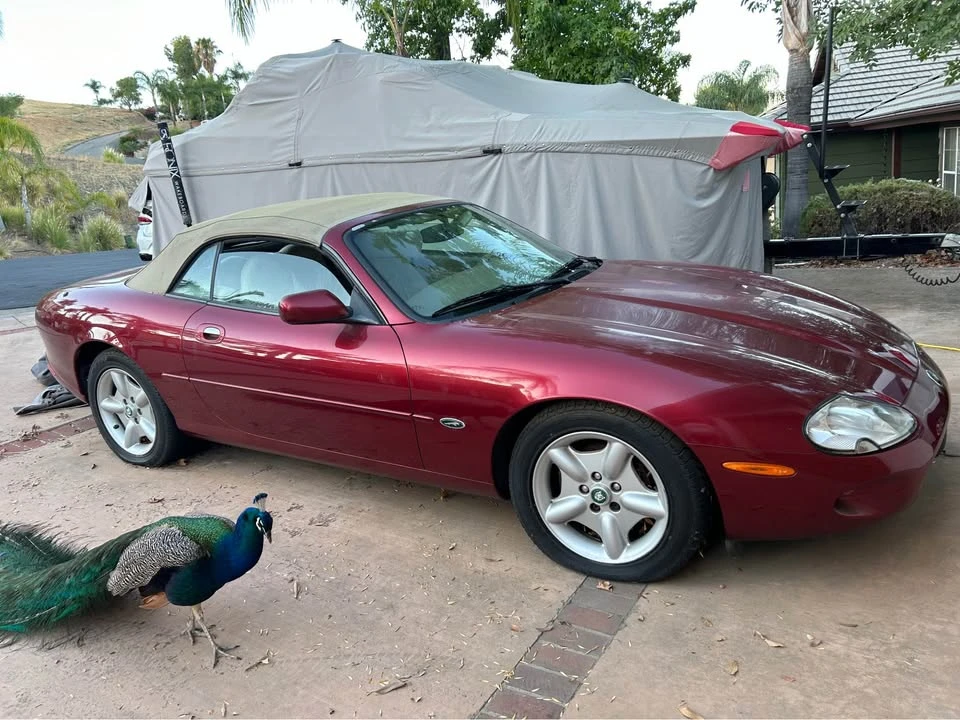 1996 Jaguar X100 XK8 - Image 2 of 2
