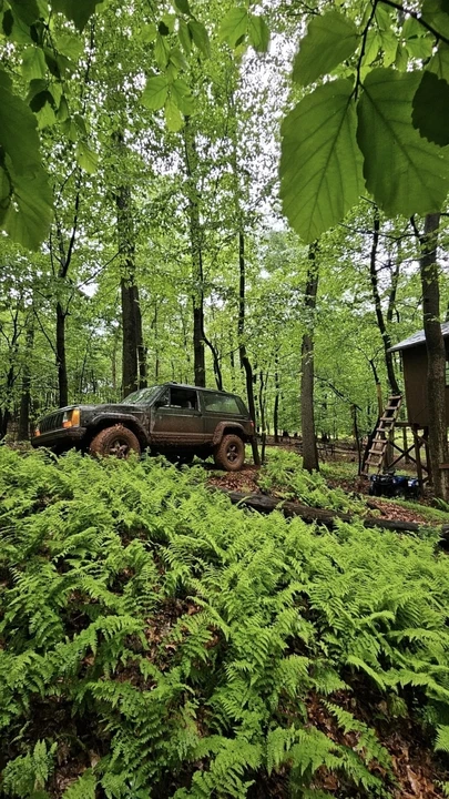 1996 Jeep XJ Cherokee - Image 4 of 12