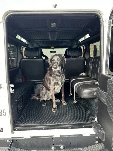 1996 Land Rover Defender 110 - Image 12 of 12