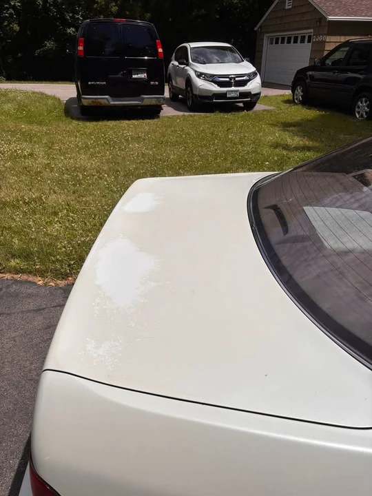 1996 Lexus LS 2nd Gen - Image 5 of 11
