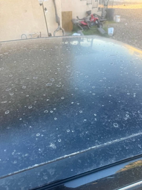 1996 Lexus LS 2nd Gen - Image 6 of 9