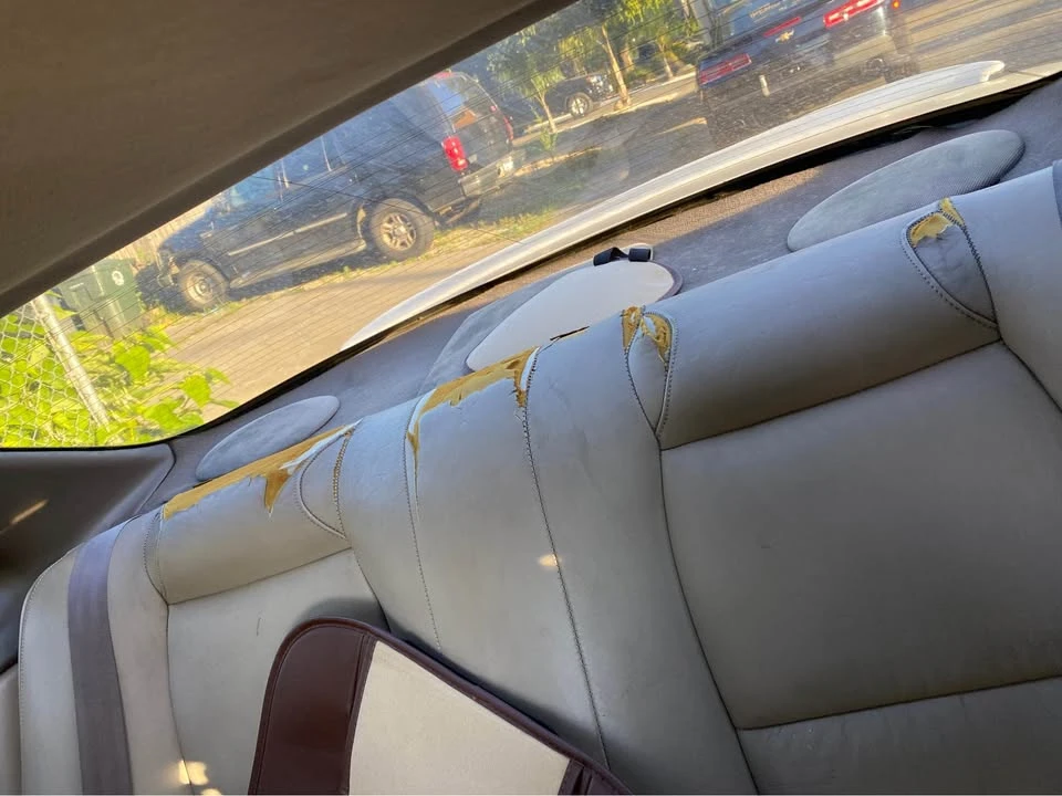 1996 Lexus SC400 - Image 11 of 12