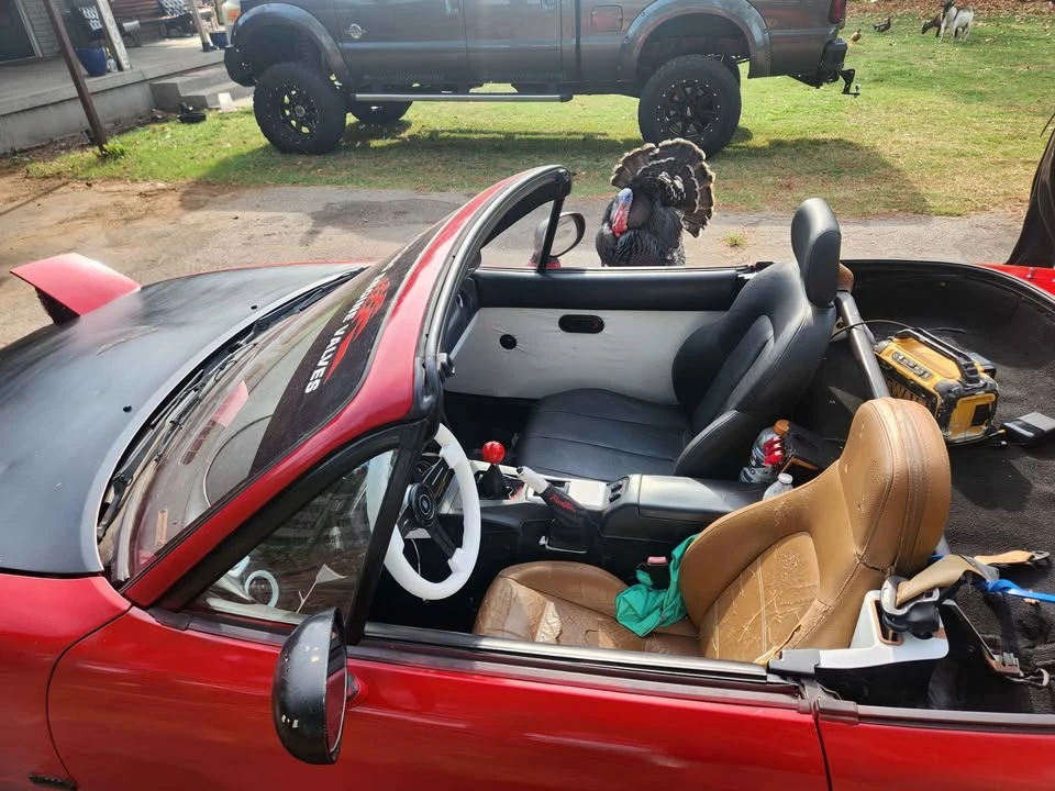 1996 Mazda NA MX-5 Miata - Image 5 of 5