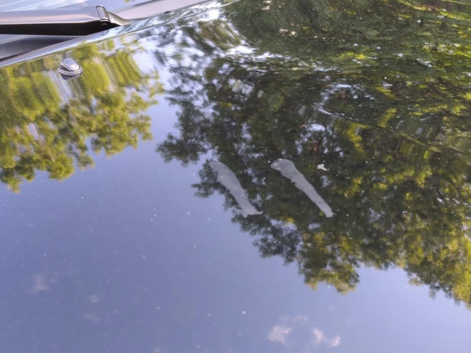 1996 Mazda NA MX-5 Miata - Image 18 of 20