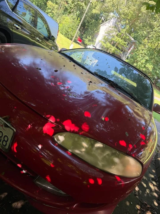 1996 Mitsubishi Eclipse 2nd Gen - Image 3 of 7