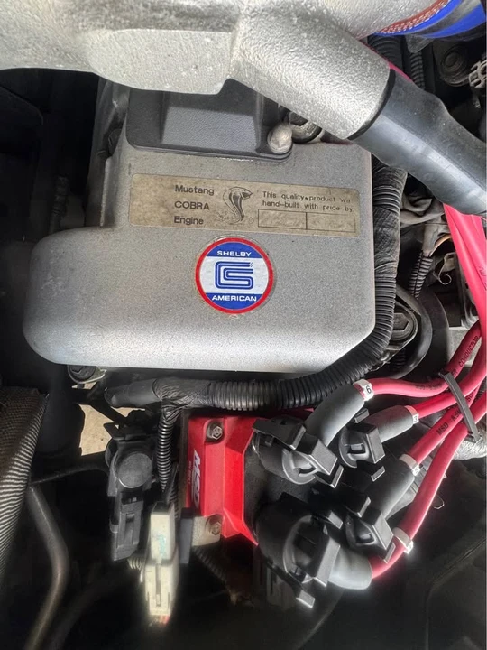 1996 Ford SN95 Mustang Cobra - Image 5 of 10