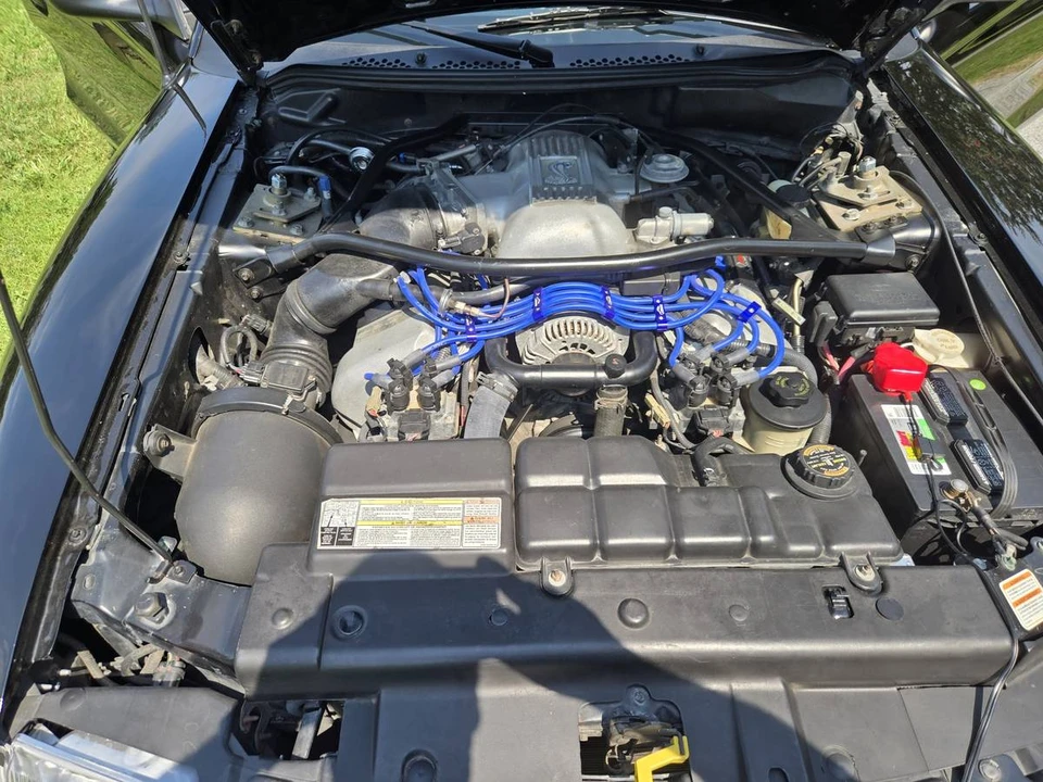 1996 Ford SN95 Mustang Cobra - Image 4 of 8
