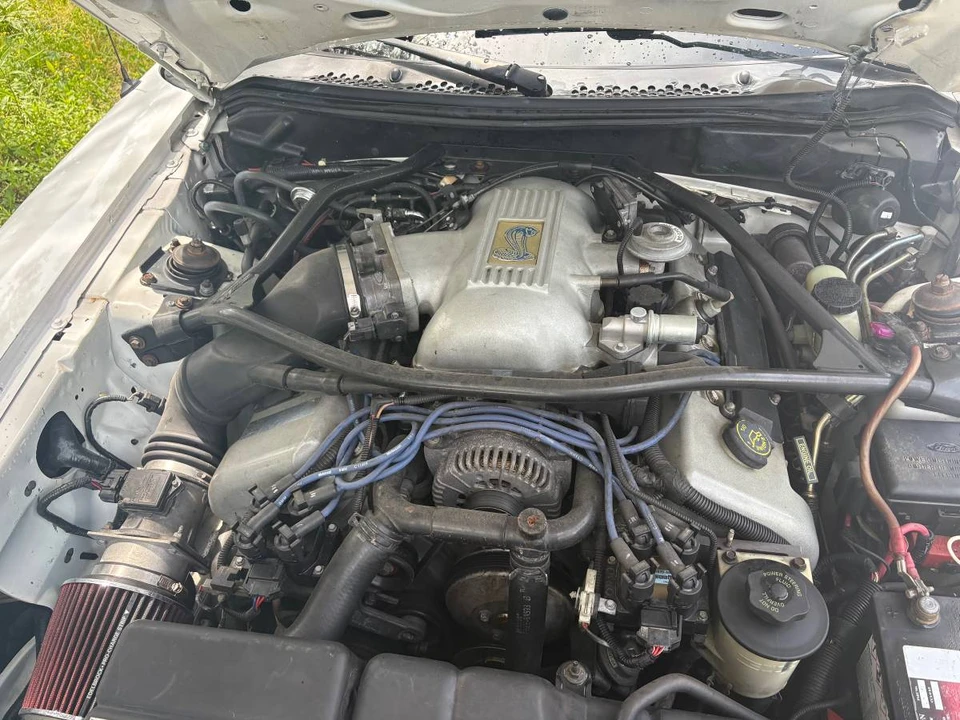 1996 Ford SN95 Mustang Cobra - Image 15 of 15