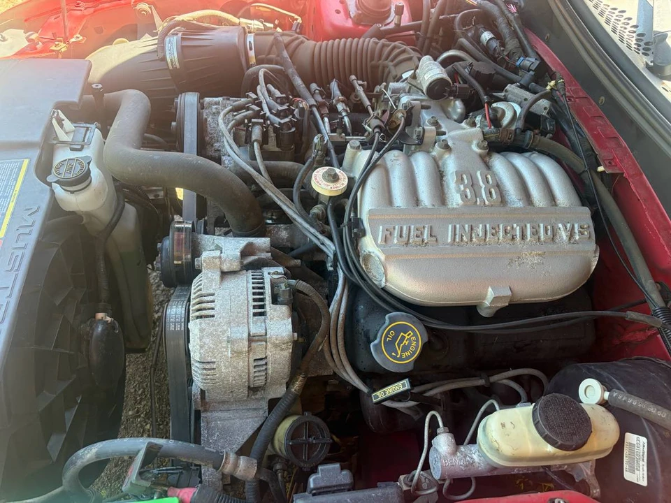 1996 Ford SN95 Mustang - Image 11 of 19