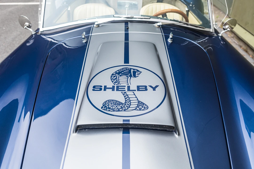1996 Shelby Cobra Replica - Image 19 of 31