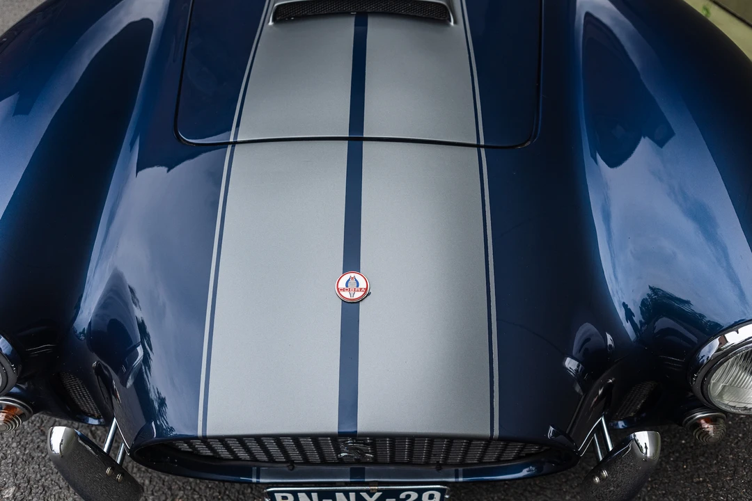1996 Shelby Cobra Replica - Image 25 of 31