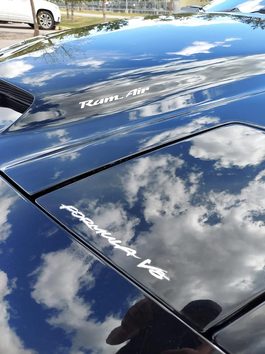 1996 Pontiac Firebird Trans Am 4th Gen - Image 16 of 31
