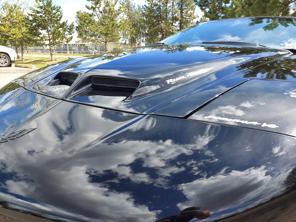 1996 Pontiac Firebird Trans Am 4th Gen - Image 14 of 31
