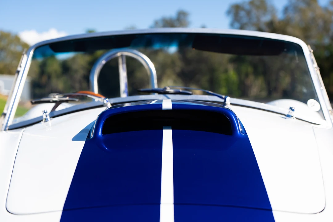 1996 Shelby Cobra Replica - Image 29 of 31