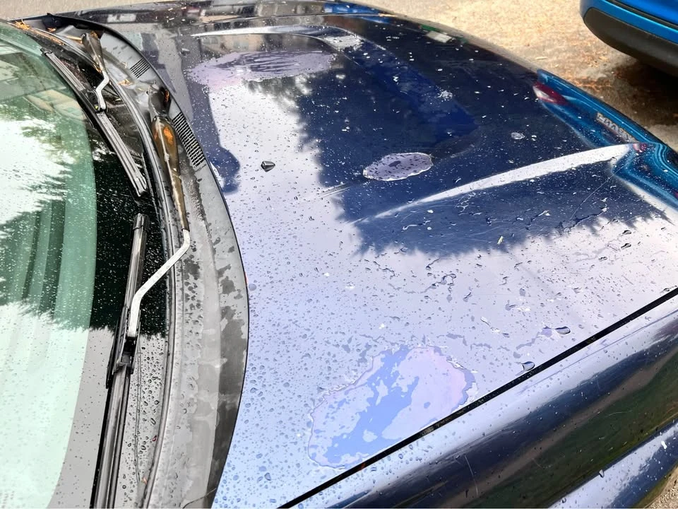 1996 Subaru Impreza 1st Gen - Image 4 of 16