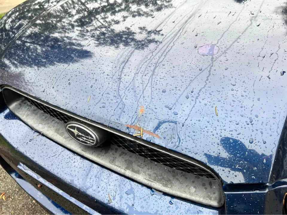 1996 Subaru Impreza 1st Gen - Image 3 of 16