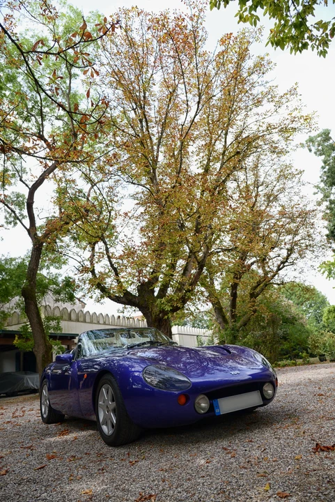 1996 TVR Griffith - Image 25 of 26