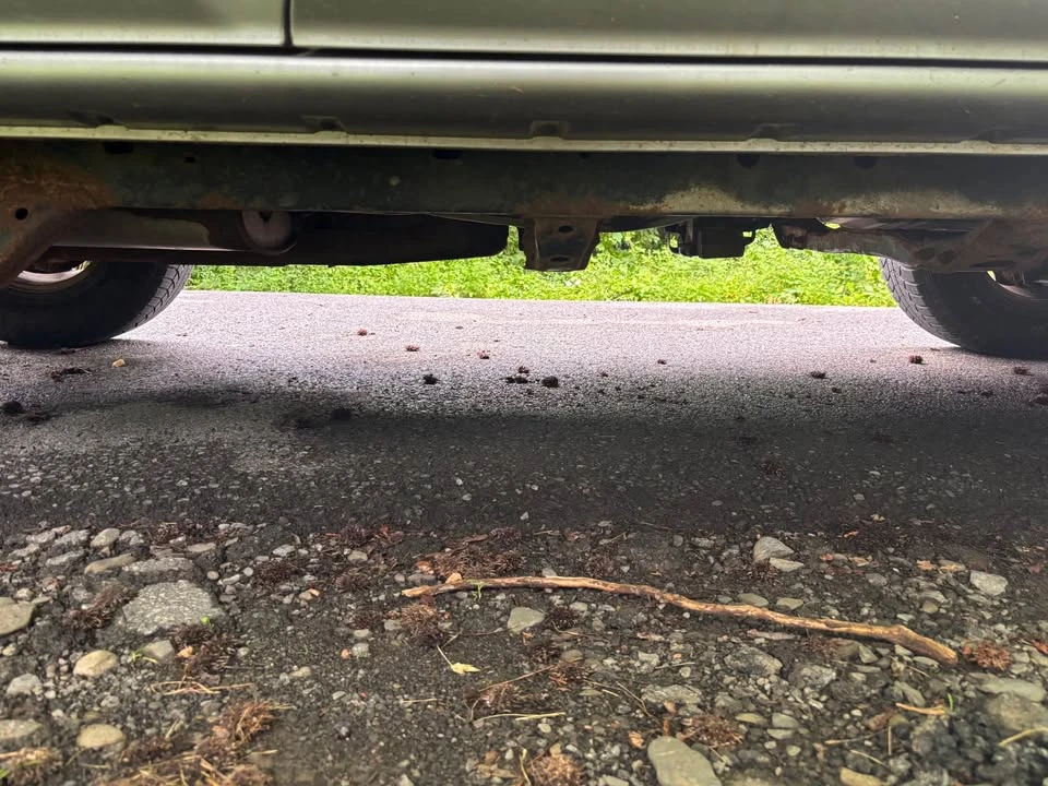 1996 Toyota 4Runner 3rd Gen - Image 8 of 8