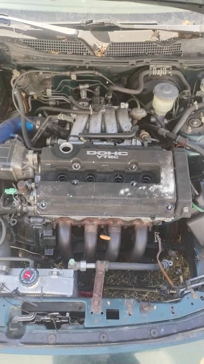 1997 Acura Integra 3rd Gen - Image 10 of 11