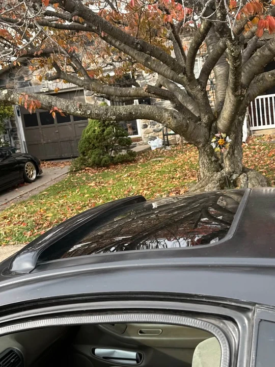 1997 Acura Integra 3rd Gen - Image 7 of 9