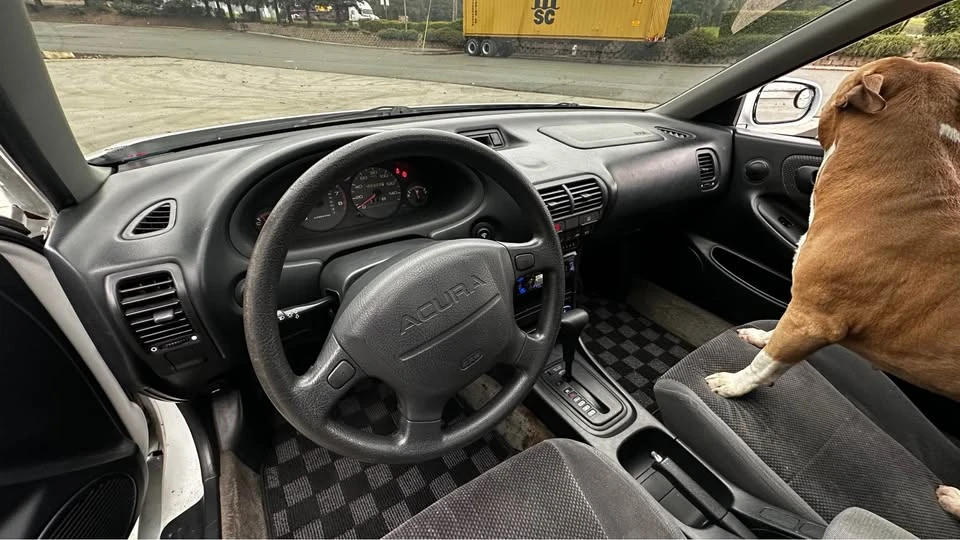 1997 Acura Integra 3rd Gen - Image 8 of 9