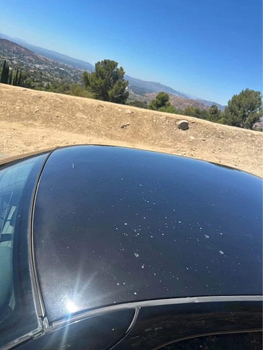 1997 BMW E36 3 Series - Image 7 of 20