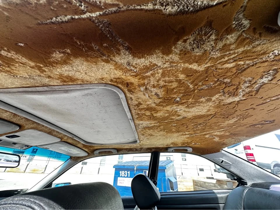 1997 BMW E36 3 Series - Image 16 of 20