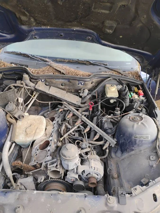 1997 BMW Z3 Roadster - Image 5 of 14