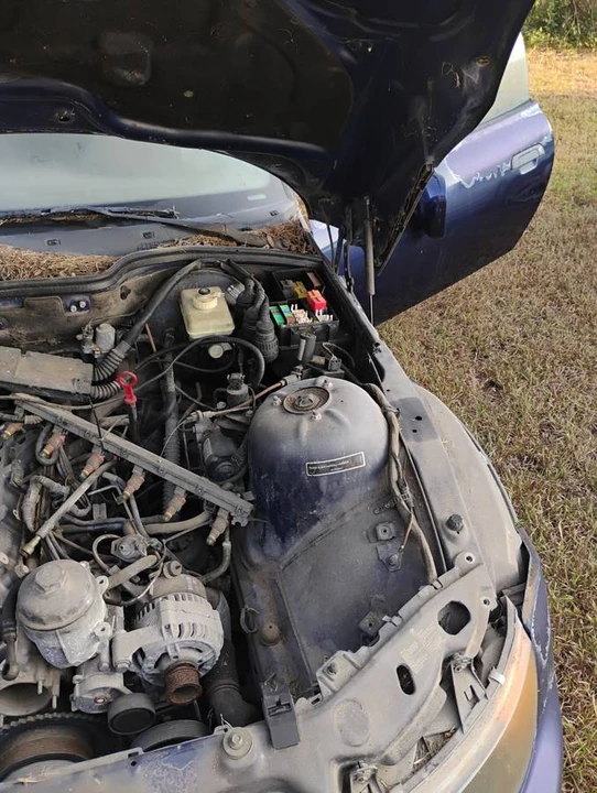 1997 BMW Z3 Roadster - Image 4 of 14