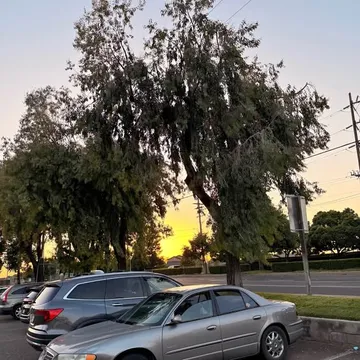 1997 Buick Regal LS