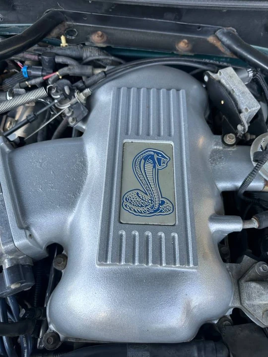 1997 Ford SN95 Mustang Cobra - Image 15 of 20