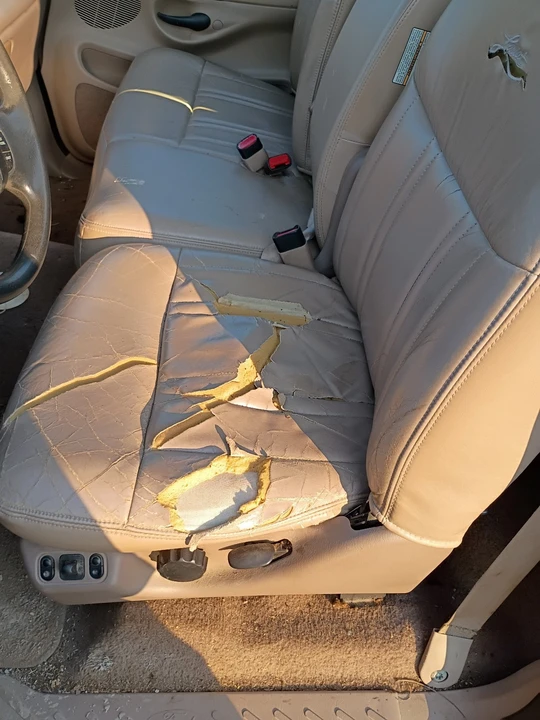 1997 Ford F-150 10th Gen - Image 22 of 28