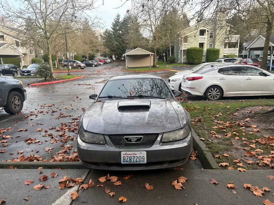 1997 Ford SN95 Mustang - Image 4 of 4