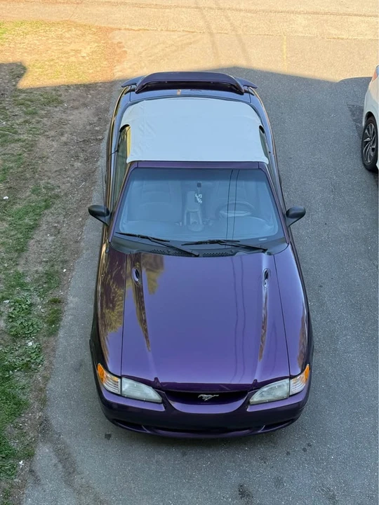 1997 Ford SN95 Mustang - Image 10 of 11