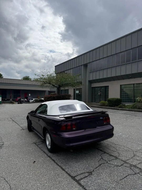 1997 Ford SN95 Mustang - Image 2 of 11