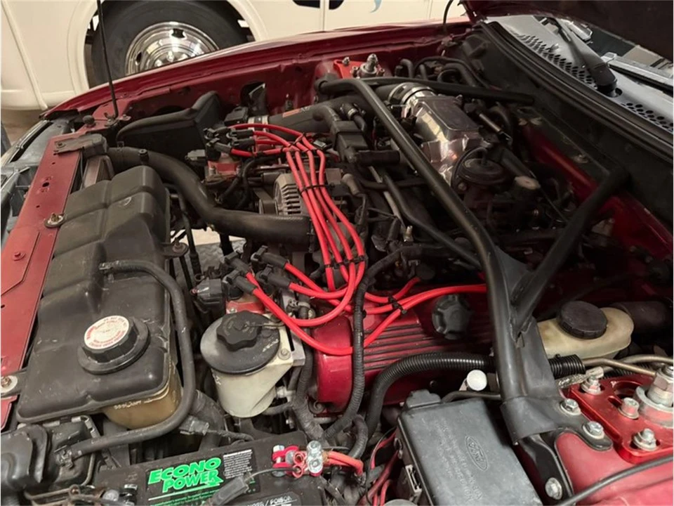 1997 Ford SN95 Mustang - Image 11 of 29