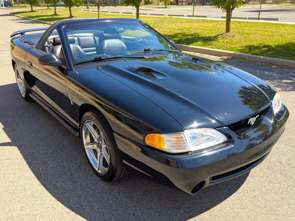 1997 Ford SN95 Mustang Cobra - Image 7 of 20