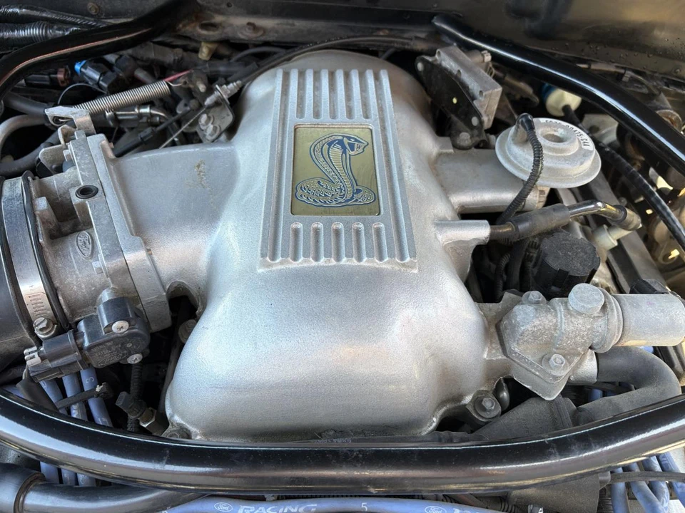 1997 Ford SN95 Mustang Cobra - Image 19 of 20